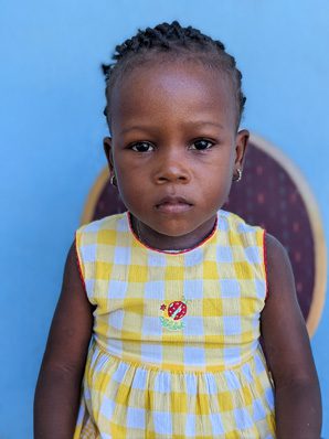 A picture of the Damis Izaella sitting on the chair
